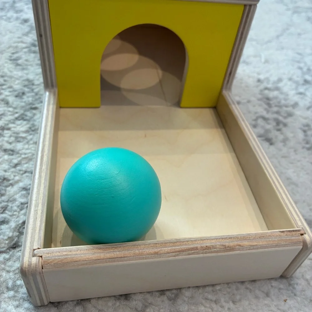 Lovevery Montessori Ball Drop Box